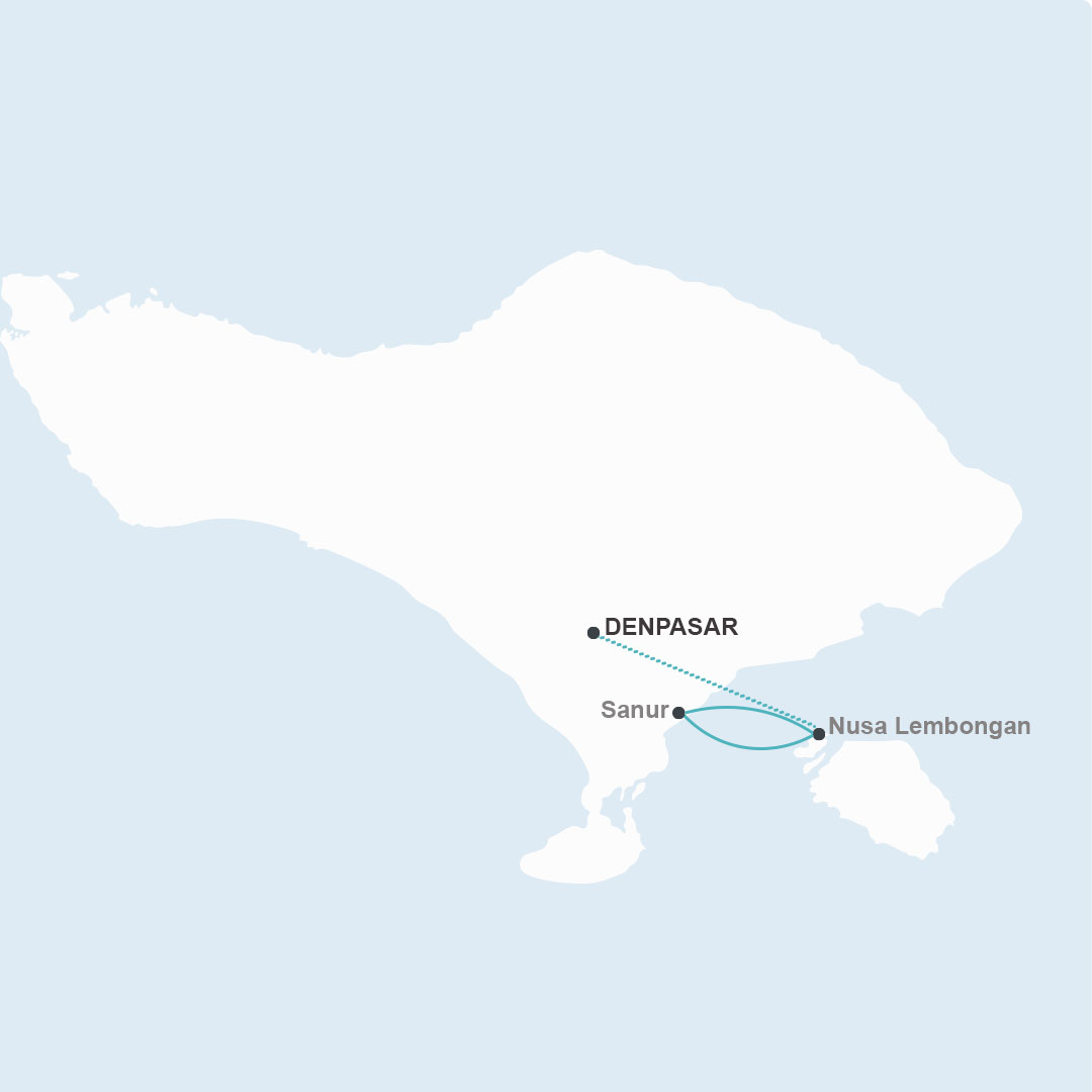 young-fun-cruise-8d-map